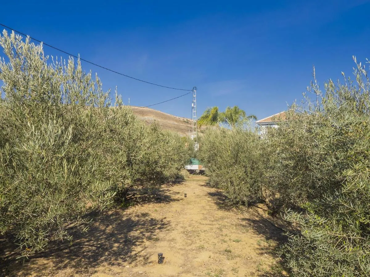 Holiday home Cubo'S Casa Rural El Algarrobo Alhaurin el Grande